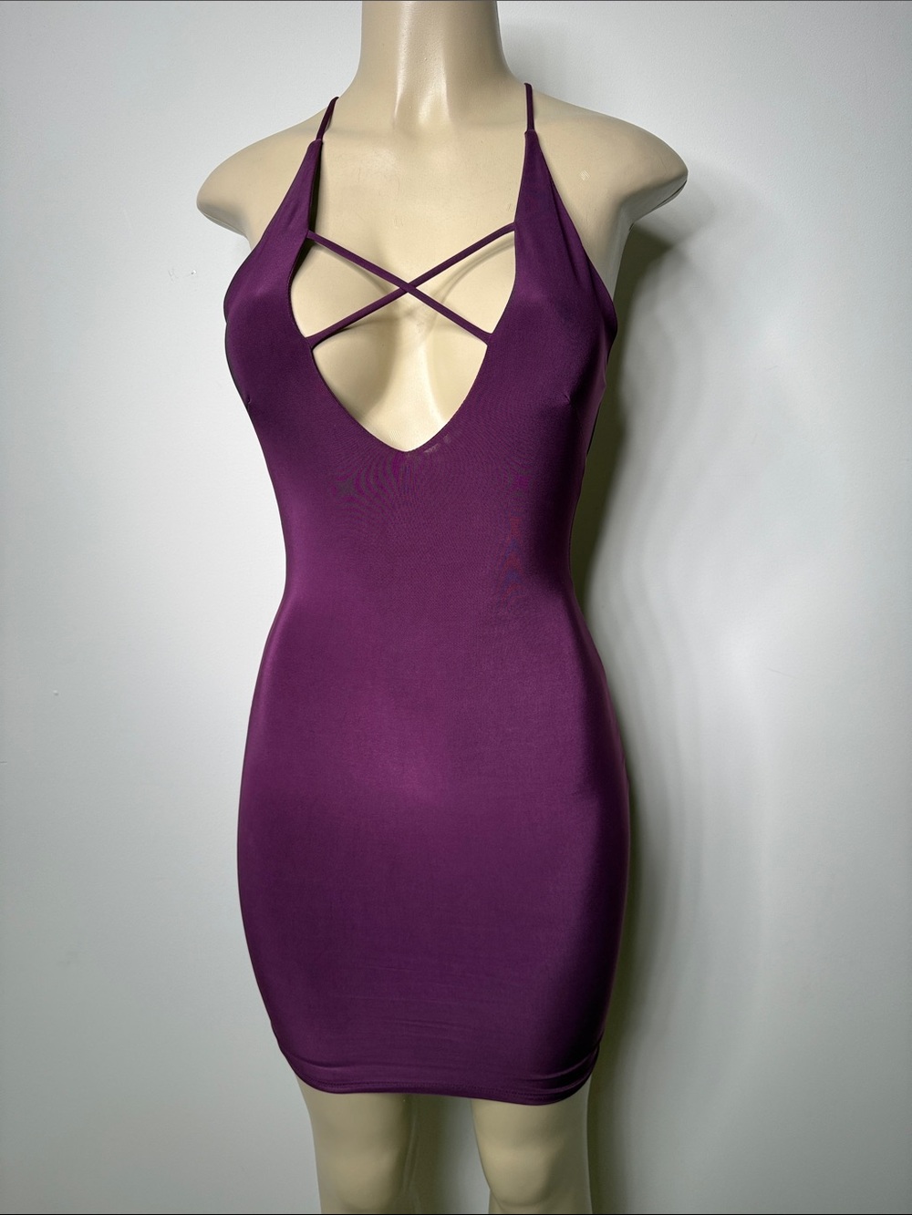 Windsor Plum Crisscross Plunge Mini Dress